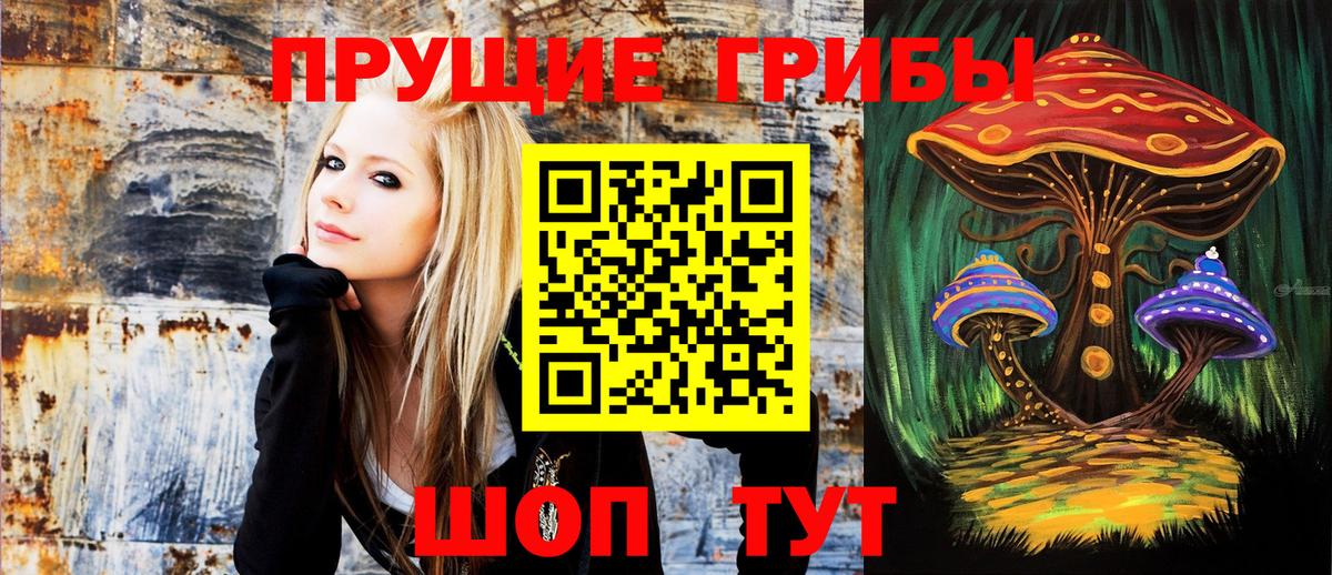 Ступино  Галлюциногенные грибы Psilocybine cubensis  Вход с VPN 