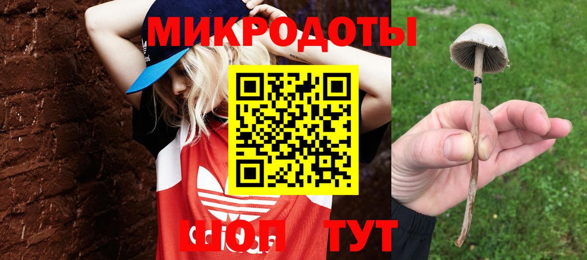 Псилоцибиновые грибы мицелий Ступино